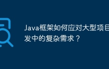 Java框架如何应对大型项目开发中的复杂需求？