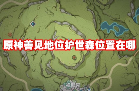 原神善见地位护世森位置在哪 原神善见地位护世森位置一览