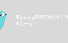 用golang框架开发的好处和缺点是什么？