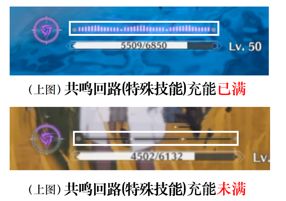 鸣潮共鸣回路机制有哪些 鸣潮共鸣回路机制解析