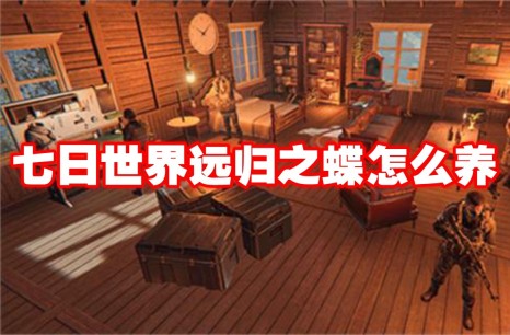 七日世界远归之蝶怎么养 七日世界远归之蝶收容方法