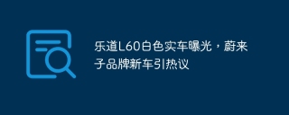 乐道L60白色实车曝光，蔚来子品牌新车引热议