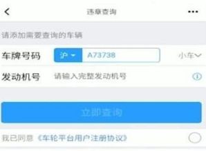 懂车帝怎么查询违章记录 查询违章记录的操作方法
