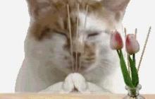 仓管再就业，重生之我在太空战场当奶妈