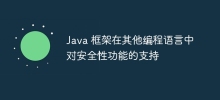 Java 框架在其他程式語言中對安全性功能的支持