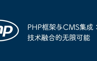 PHP framework and CMS integration: unlimited possibilities for technology integration