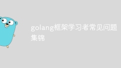 Eine Sammlung häufig gestellter Fragen für Golang-Framework-Lernende
