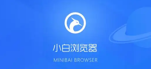 小白浏览器怎么设置开启自动更新功能 开启自动更新功能的操作方法