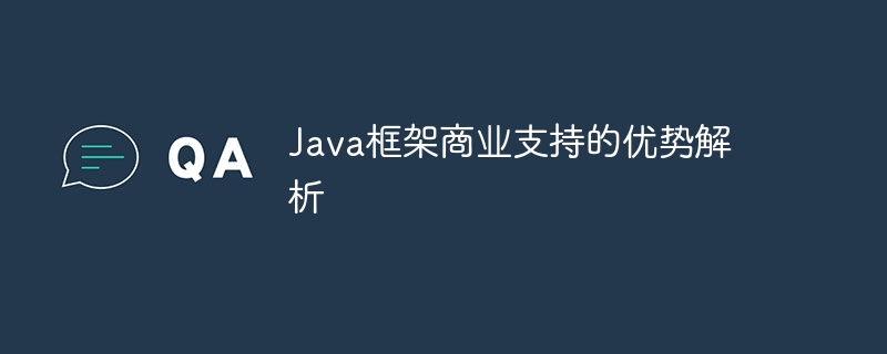 Java フレームワーク商用サポートの利点の分析