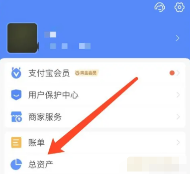 支付宝总资产怎么查看 总资产的查看方法