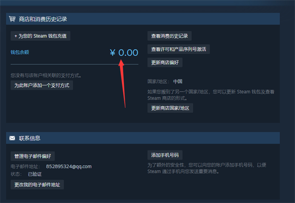 steam账户明细怎么查询_steam钱包余额查看步骤介绍