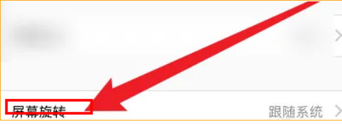 Alook的屏幕怎么旋转 屏幕旋转的操作方法