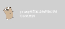 golang框架在金融科技領域的實踐案例