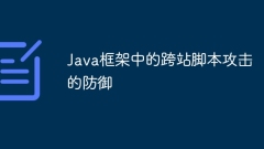 Java框架中的跨站脚本攻击的防御