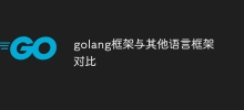 golang框架與其他語言框架對比