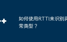 如何使用RTTI来识别异常类型？