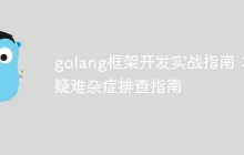 golang框架开发实战指南：疑难杂症排查指南