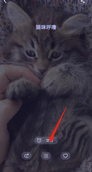 猫耳fm怎么设置定时播放时间 设置定时播放时间的操作方法