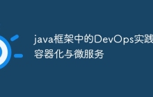 java框架中的DevOps实践：容器化与微服务