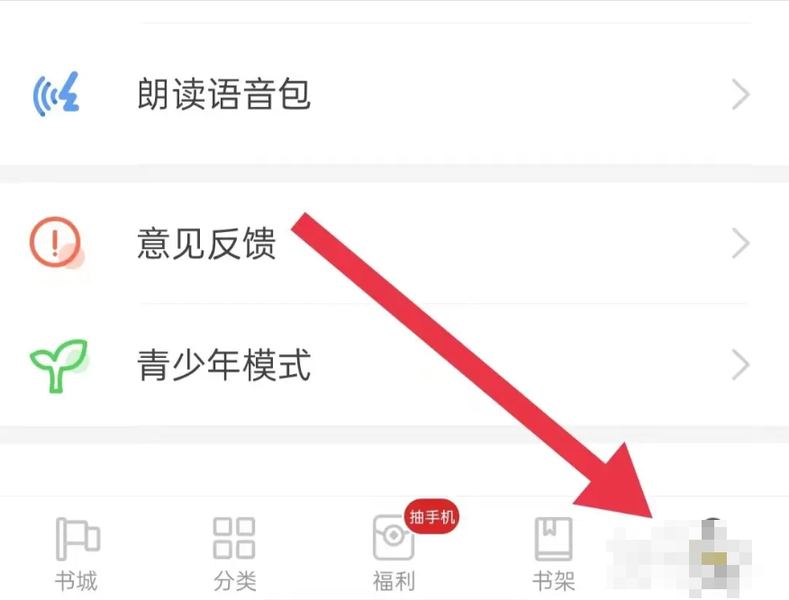 饭团追书横屏双翻页怎么设置