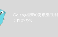 Golang框架的高级应用指南:性能优化