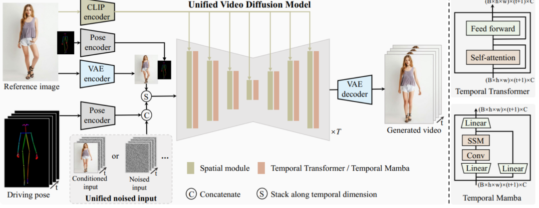 支持合成一分钟高清视频，华科等提出人类跳舞视频生成新框架UniAnimate
