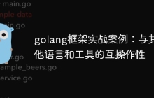golang框架实战案例：与其他语言和工具的互操作性
