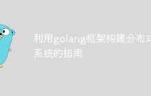 利用golang框架构建分布式系统的指南