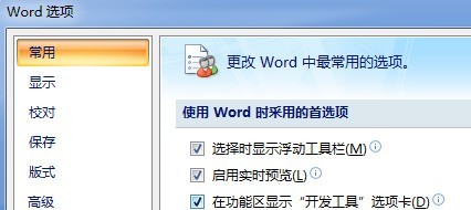 Office 2007에서 개발 도구 탭을 표시하는 방법 Office 2007에서 개발 도구 탭을 표시하는 방법