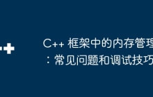 C++ 框架中的内存管理：常见问题和调试技巧