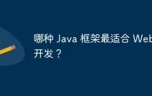 哪种 Java 框架最适合 Web 开发？