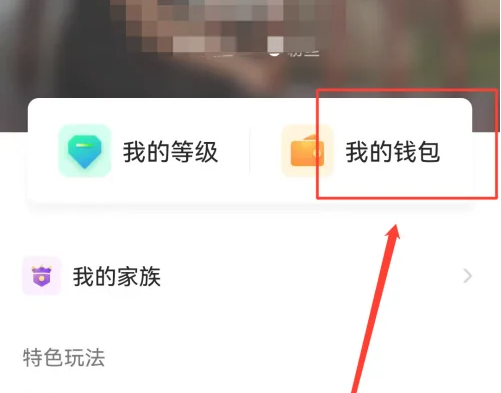 小陪伴语音怎么查看收入明细 查看收入明细的操作方法