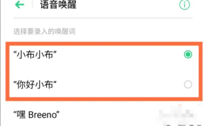 小布助手应答声音怎么开