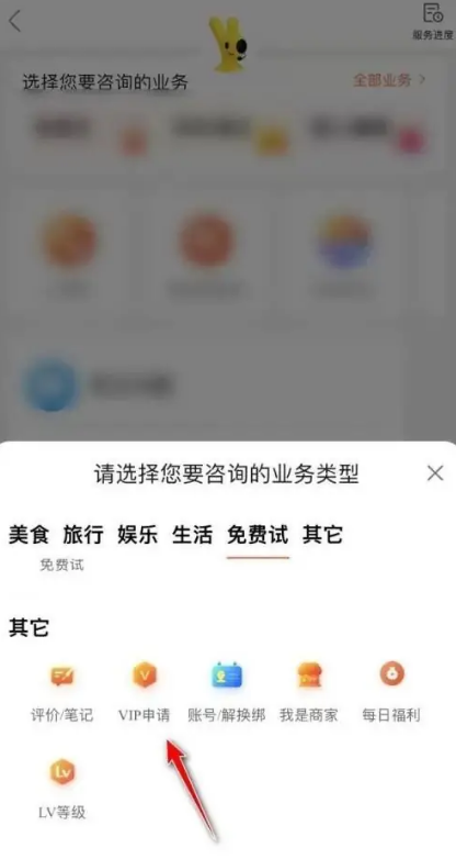 大众点评怎么成为VIP