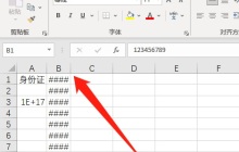 excel中的数字变成了井号怎么办（excel数字变成井号解决方法）