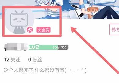 哔哩哔哩动画怎么关掉自动续费 哔哩哔哩动画关掉自动续费的方法