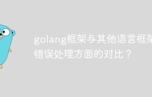golang框架与其他语言框架在错误处理方面的对比？