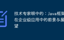 技术专家眼中的:Java框架在企业级应用中的前景与展望