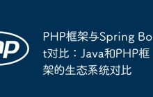 PHP框架与Spring Boot对比:Java和PHP框架的生态系统对比
