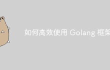 如何高效使用 Golang 框架?