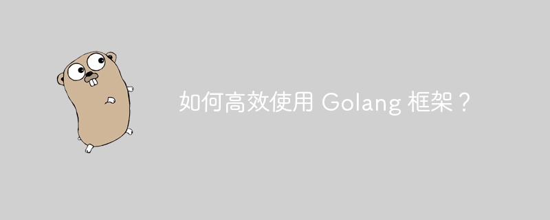 如何高效使用 Golang 框架？