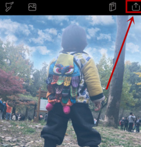 pixaloop怎么导出 pixaloop导出图片的方法