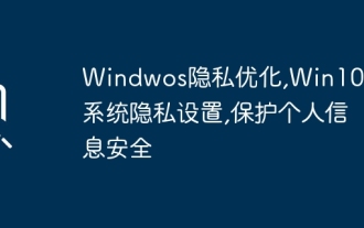 Windows-Datenschutzoptimierung, Win10/11-Systemdatenschutzeinstellungen, Schutz der Sicherheit persönlicher Informationen
