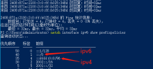 IPv4優先權設定,IPv4優先於IPv6設置