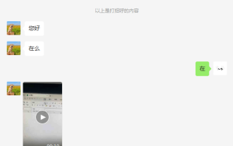 WPS and Office do not have Chinese fonts, and Chinese font names are displayed in English.