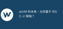 zkVM 的未來，為何基於 RISC-V 架構？