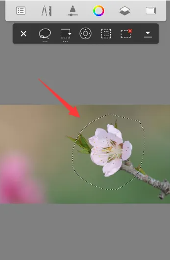 sketchbook怎么移动选区 sketchbook移动某一图形方法