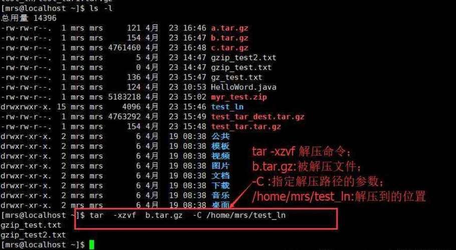 Linux 系統中如何解壓縮 zip 資料夾？詳細步驟分享