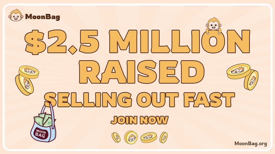 MoonBag: The New Cryptocurrency That Is Attracting Investors From ...