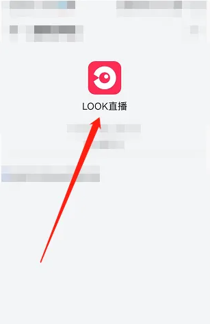 网易云look直播怎么兑换vip LOOK直播开通黑胶VIP教程